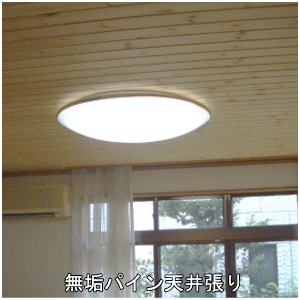 無垢パイン天井張り